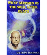 Cover What Becomes of the Soul After Death