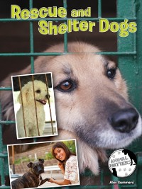 Cover Rescue and Shelter Dogs