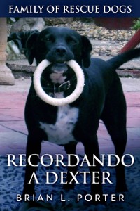 Cover Recordando a Dexter