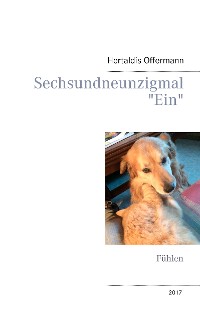 Cover Sechsundneunzigmal "Ein"
