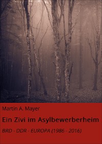 Cover Ein Zivi im Asylbewerberheim