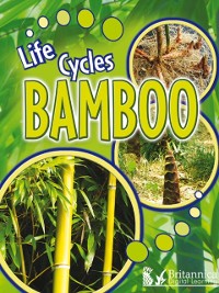 Cover Bamboo