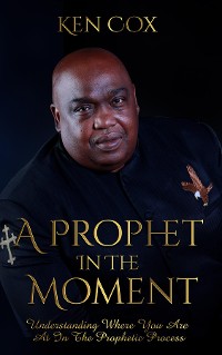 Cover A Prophet In The Moment