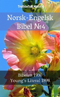 Cover Norsk-Engelsk Bibel №4