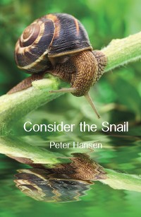 Cover Consider the Snail