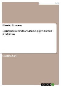 Cover Lernprozesse und Devianz bei jugendlichen Straftätern