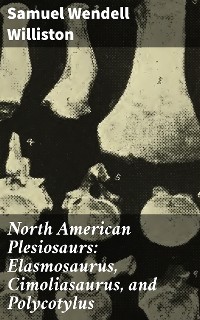 Cover North American Plesiosaurs: Elasmosaurus, Cimoliasaurus, and Polycotylus