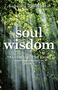 Cover Soul Wisdom