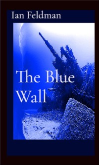 Cover The Blue Wall