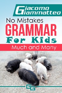 Cover No Mistakes Grammar for Kids