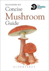Cover Concise Mushroom Guide