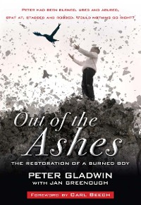 Cover Out of the Ashes
