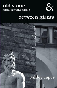 Cover old stone & between giants