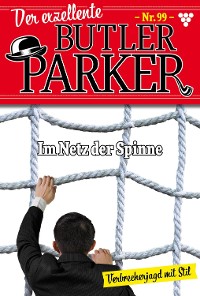 Cover Im Netz der Spinne
