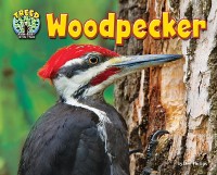 Cover Woodpecker