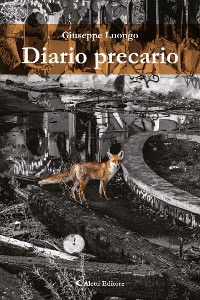 Cover Diario precario
