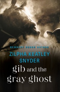 Cover Gib and the Gray Ghost