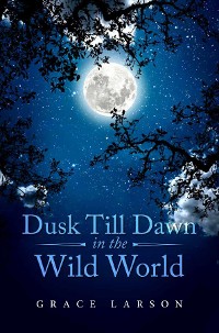 Cover Dusk Till Dawn In The Wild World