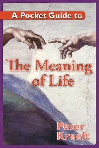 Cover A Pocket Guide to the Meaning of Life