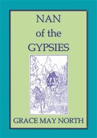 Cover NAN of the GYPSIES - An American Coming of Age Novel 