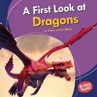 Cover First Look at Dragons