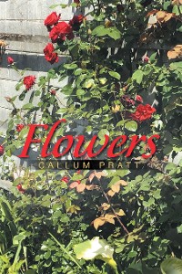 Cover Flowers