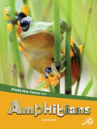 Cover Animals Have Classes Too! Amphibians
