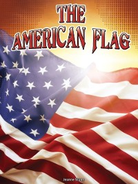Cover American Flag