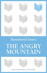 Cover Angry Mountain