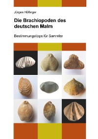 Cover Die Brachiopoden des deutschen Malm