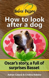 Cover How to look after a dog