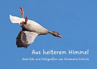 Cover Aus heiterem Himmel