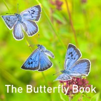 Cover Butterfly Book