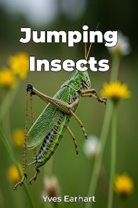 Cover Jumping Insects