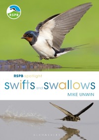Cover RSPB Spotlight Swifts and Swallows