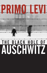 Cover The Black Hole of Auschwitz