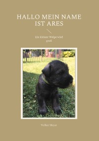 Cover Hallo mein Name ist Ares