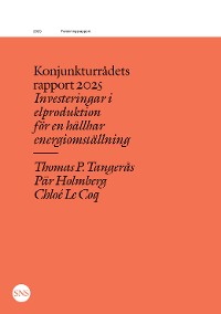 Cover Konjunkturrådets rapport 2025