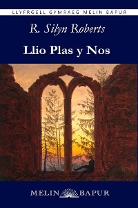 Cover Llio Plas y Nos (eLyfr)