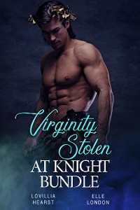 Cover Virginity Stolen At Knight Bundle