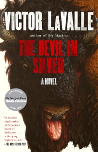 Cover Devil in Silver