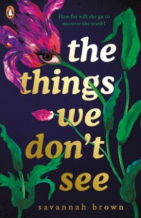 Cover The Things We Don''t See