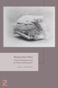 Cover Modernity's Mist