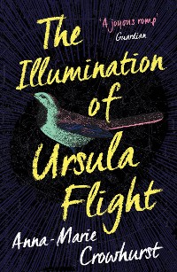 Cover The Illumination of Ursula Flight