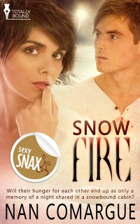 Cover Snow Fire