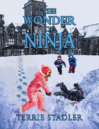 Cover The Wonder of Ninja