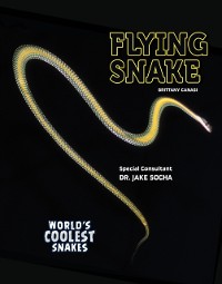 Cover Flying Snake