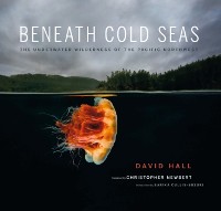 Cover Beneath Cold Seas