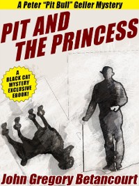 Cover Pit and the Princess