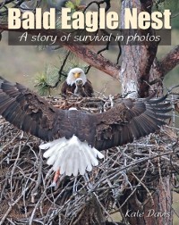 Cover Bald Eagle Nest